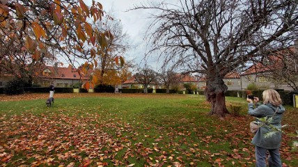 Van Grandeur naar pure eenvoud !